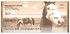 Horse Country Checks Image 1